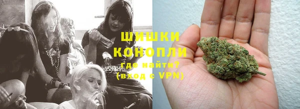 соль ск Дмитриев