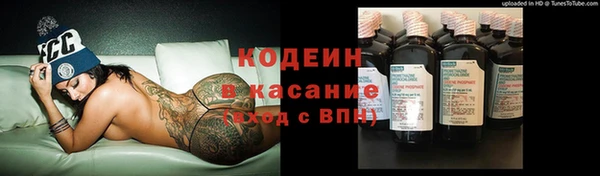 соль ск Дмитриев