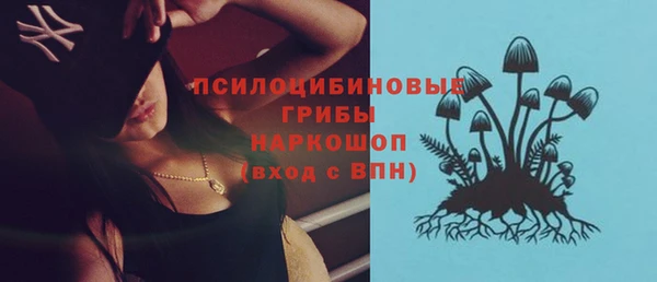 спиды Гусев