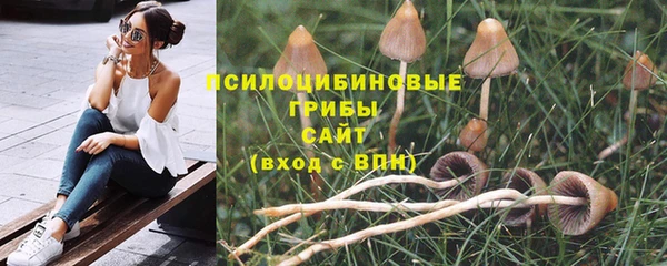 ешки Гусь-Хрустальный