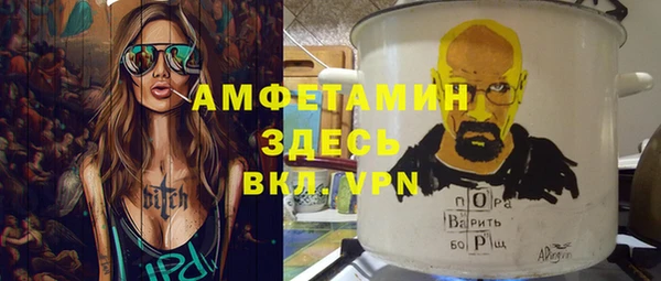 соль ск Дмитриев