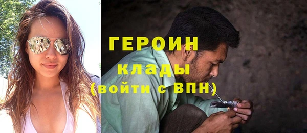 соль ск Дмитриев