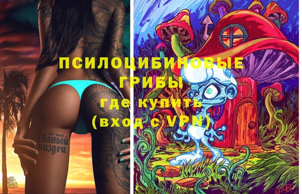 спиды Гусев