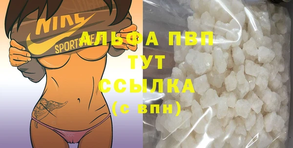 спиды Гусев