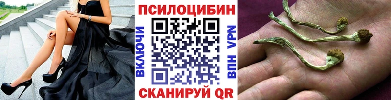 kraken онион  Нязепетровск  Галлюциногенные грибы GOLDEN TEACHER 